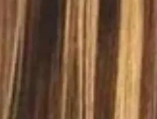 Highlights